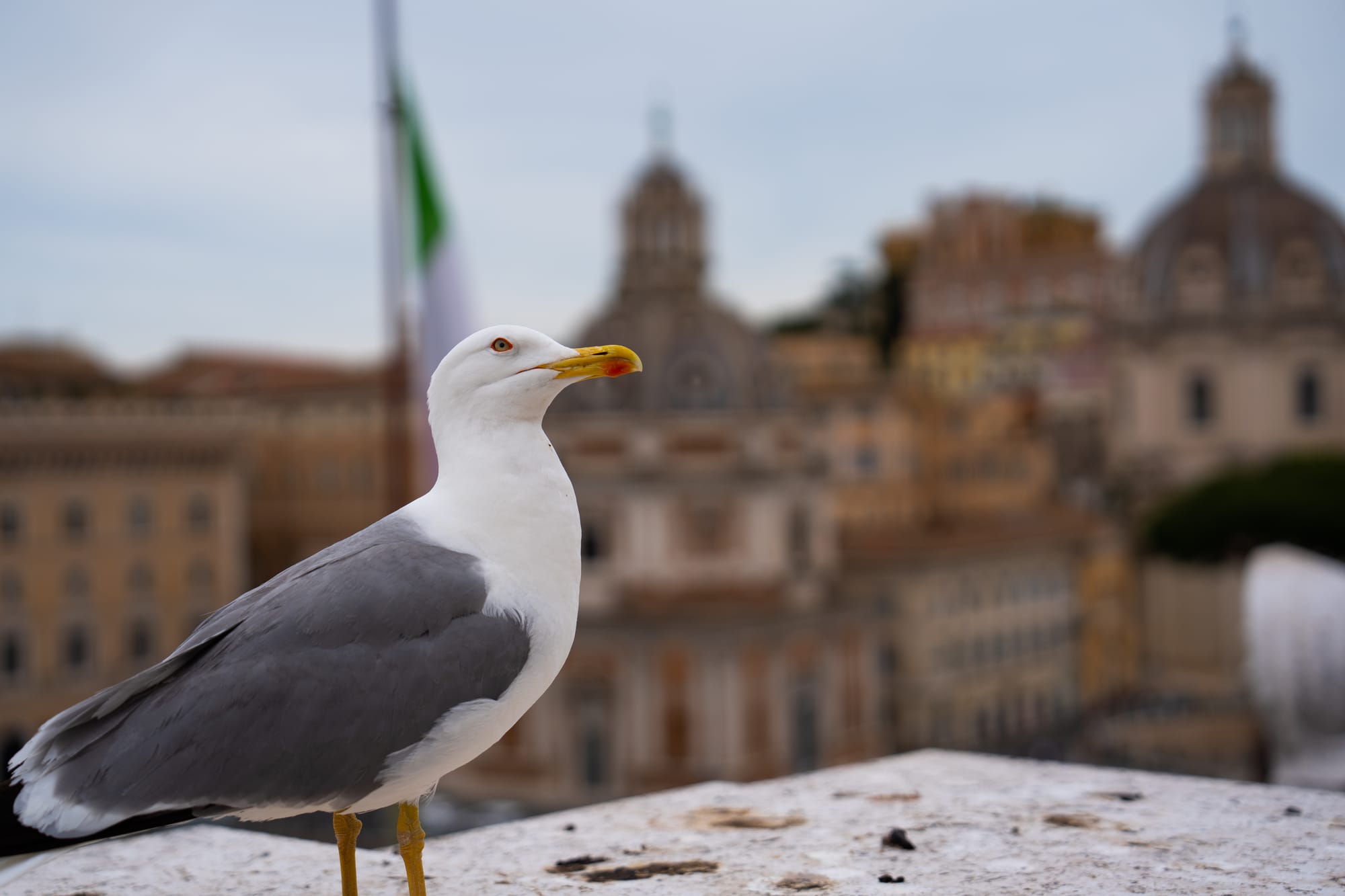 Rome, Italy