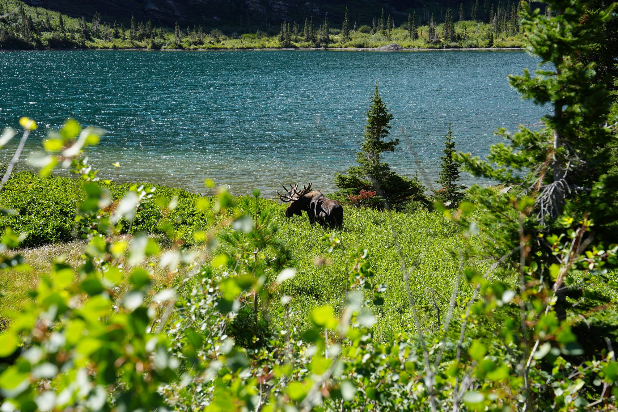 Glacier National Park