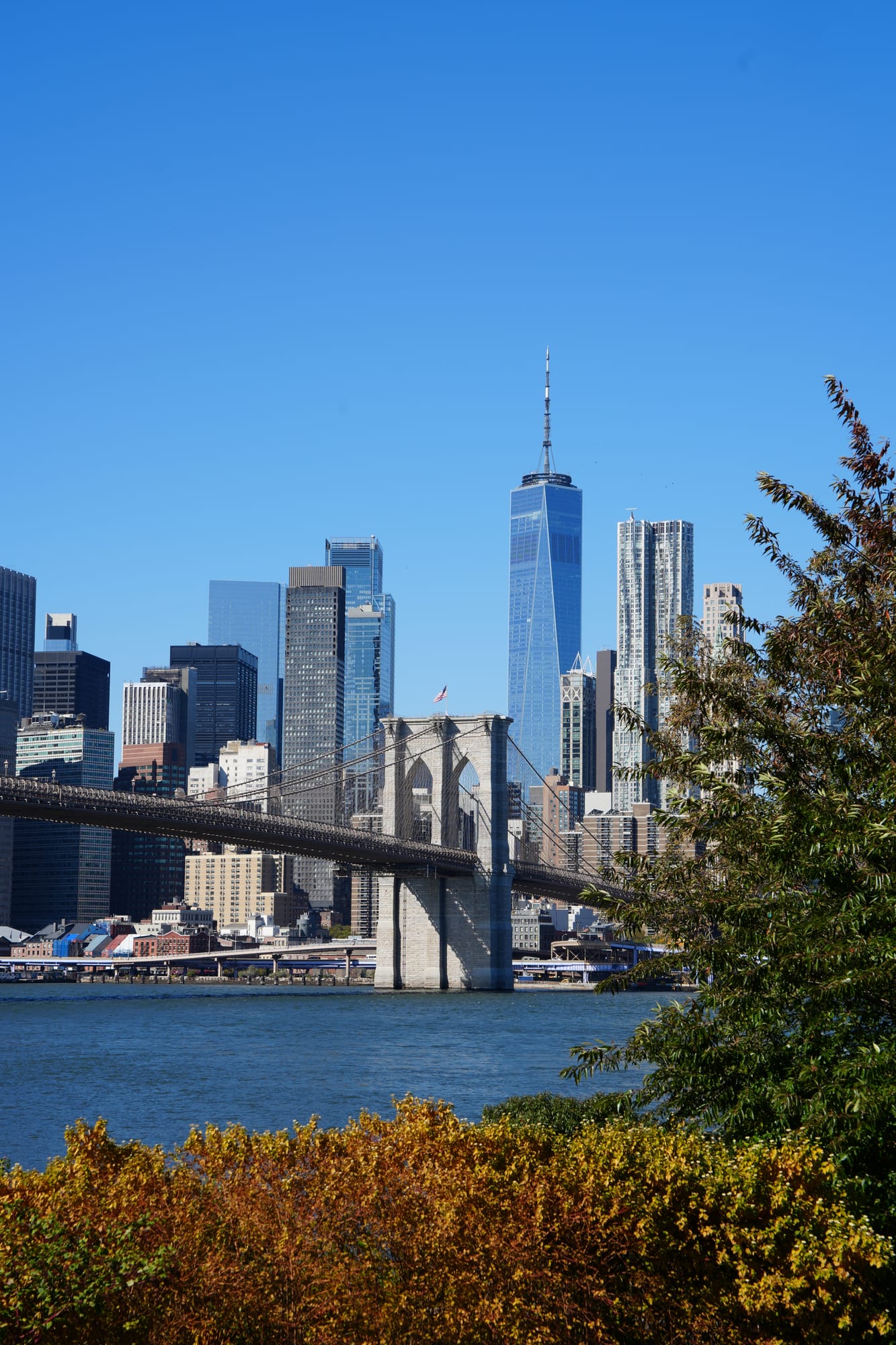 New York, USA